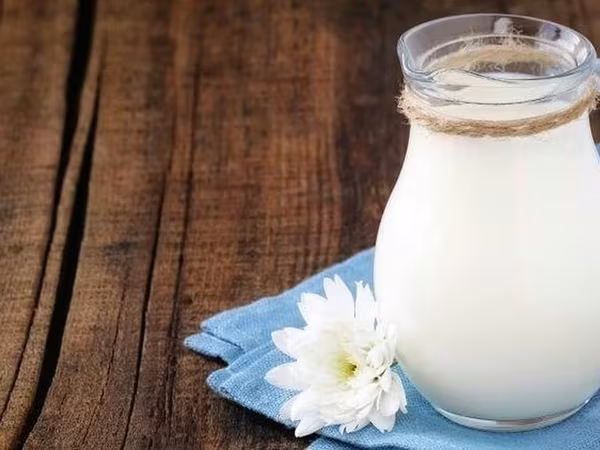 Продаю козье молоко. Вкусное,жирное, полезное . Без запаха и