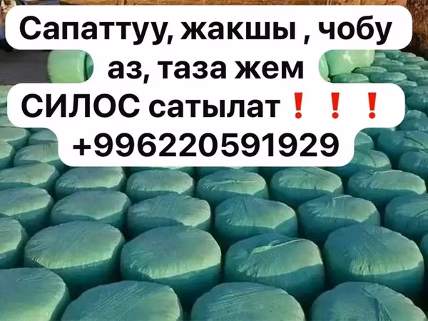 СИЛОС сатылат❗️❗️❗️ 10с кг Силос в тюках (вакуумная упаковка