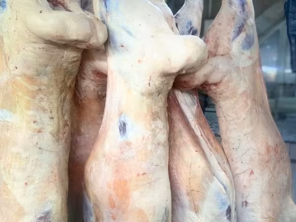 -КОЗУ КОЗУ КОЗУ КОЗУ -ПРОДАЮ МЯСО БАРАНИНЫ