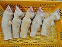 Ноги белые опаленные — 照片 2