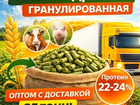 Пивная дробина гранулированная в Красном холме — фото 1