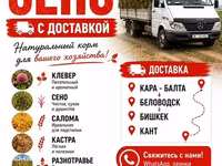 3 укос таза беде сатылат метровый плотный таза — photo 3