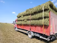 Кастра Кастра Сено в тюках (луговое/разнотравье) - Заготовка текущего — photo 1