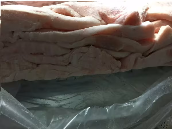 Шпик хребтовой