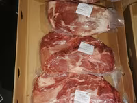 母猪, Pigs — 照片 4