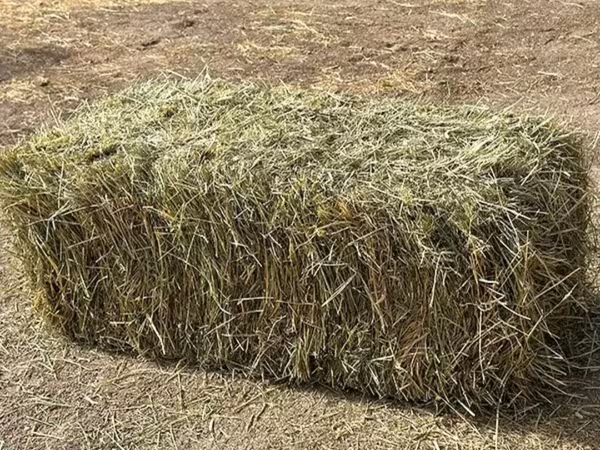 Куплю сено 15 тюков.Кишинев.