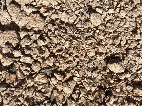 Шрот подсолнечный негранулированный ГОСТ. Протеин 39% асв