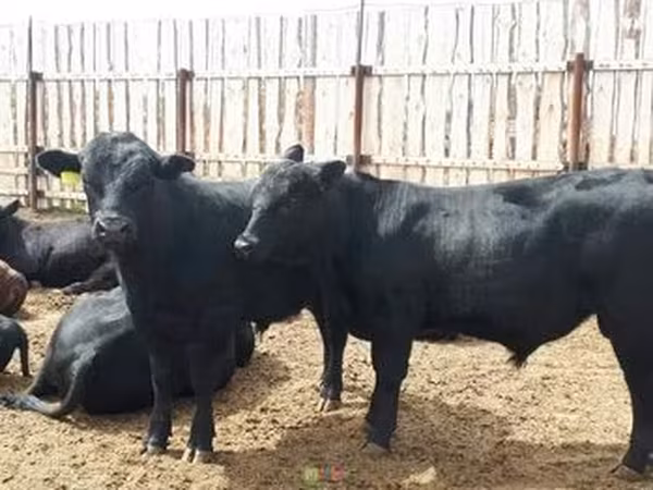소