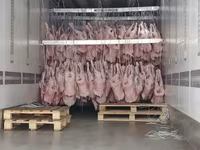 Баранина субпродукты — photo 4