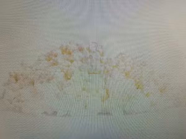 Творог замороженный, ГОСТ 0%