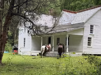 Caballo, Appaloosa — foto 3