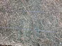 Продам сено — 照片 2