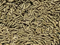 Vindem mincare pentru sinsila granule de 2.5mm produs in Ungaria 16lei(chinchila,sinsila,шиншила) — फ़ोटो 5