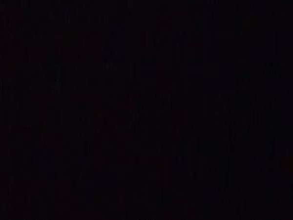 Avilenja-negra Iberika