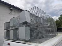 Vind custi pentru Iepuri. — 照片 2