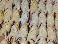 Тушки перепелок. 3500 голов. — 照片 6