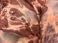 Кость говяжья мозговая зам. безнал с всд — foto 1