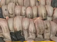 Баранина, конина субпродукты куплю на постоянной основе. Viber WhatsApp Telegram. — photo 5