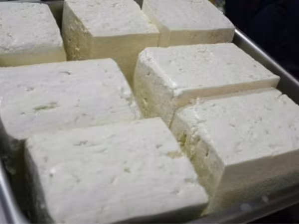 Brânză de oi. Брынза овечья премиум, от производителя. Соленая (бочковая ). Оптом. Brinza.