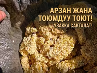 Яичная лапша для скота — экономичный и сытный корм. - Назначение — Foto 1