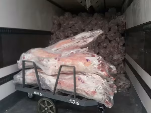 Носы говяжьи