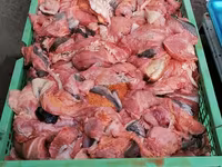 Закупаем субпродукты, рубец, фарш. Говядина, баранина, конина, птица. Для кормления собак. Viber. — 照片 4