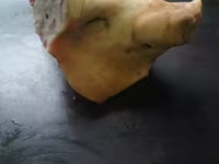 Голова — फ़ोटो 1