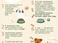 Корм для собак экструдированный — photo 2