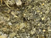 Продам силос 30/35 тон — फ़ोटो 3