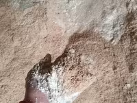 Улпак отруби кебек оптом - Натуральные отруби крупного и среднего — 照片 2