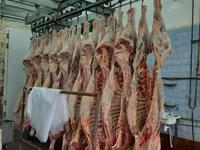 Субпродукты говяжьи и бараньи — फ़ोटो 4