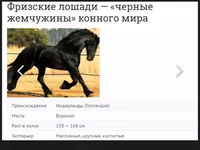 Caballo, Friesian — foto 3