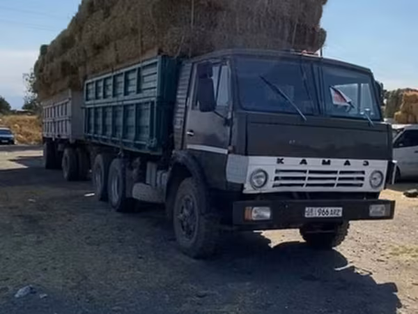 Кастра зеленая тюк хороший плотный