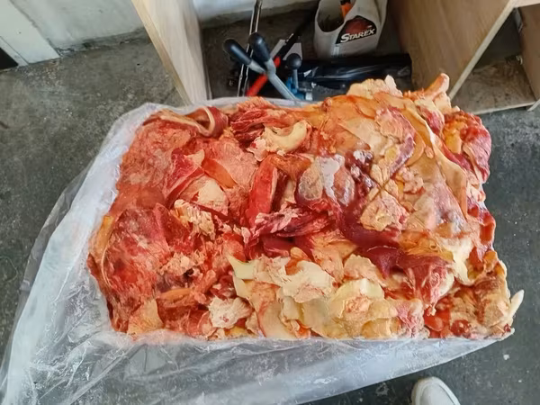 Жилка говяжья замороженная, микс
