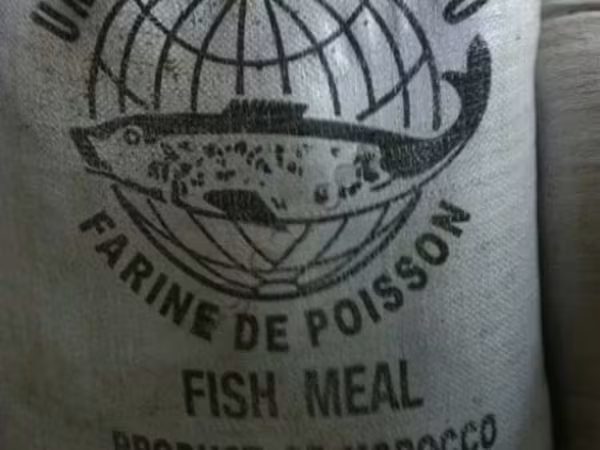 Рыбная мука