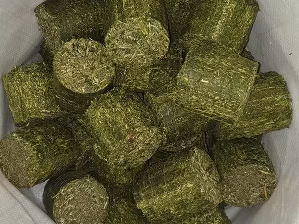 Distribuim furaj granulat,brichet de lucerna si nisip tratat pentru chinchilla (шиншила,sinsila)