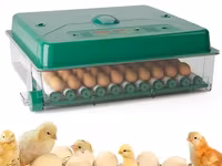Incubator De Oua Des Champs Eco Profi C-70 — 照片 3