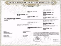 घोड़ी, Quarter Horse — फ़ोटो 4