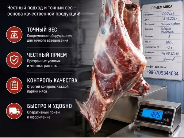 В Колбасный цех принимаем скот колбасный цехке мал алабыз. колбасный