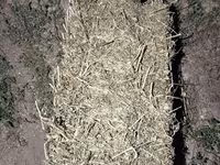 Продаю клевер 🍀 люцерна беде второй укос примерно 140 тюков район — photo 2