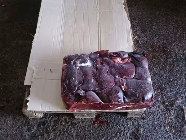 Субпродукты на корм, вет.брак.промка,кпз