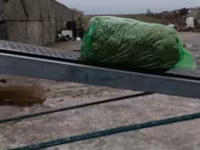 СИЛОС В УПАКОВКЕ ПО 24-26 кг ВЫСШИЙ СОРТ!!! Ватсапп+ — फ़ोटो 2