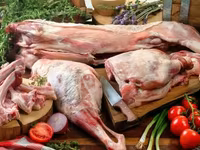 मेढ़ा, Dorper sheep — फ़ोटो 2