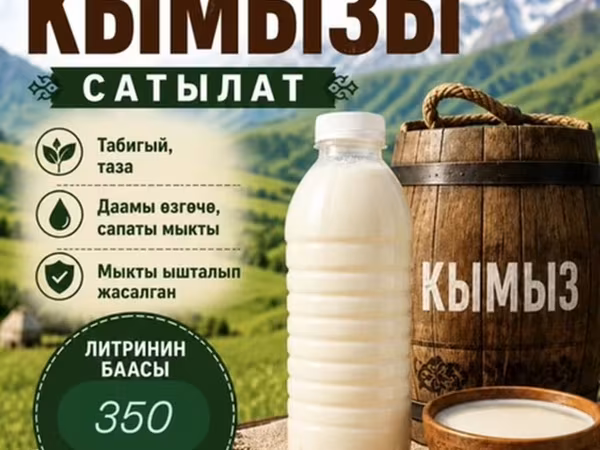 🐎 Алайкуунун нукура кымызы эми Бишкекте! Табигый даамды баалагандар