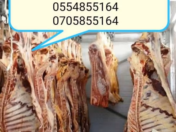 公牛, Cattle