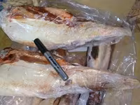 Говяжий язык без гортани бразилия/ halal — الصورة 4