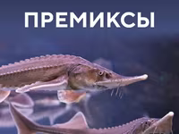 Премиксы для рыбных кормов — الصورة 4