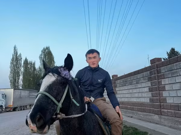 Horses