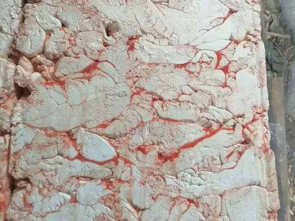 Лопатка свиная зам/охл