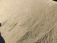 Ячмень (зерно) адрес село СУУСАМЫР - Кормовой ячмень, цельное зерно — photo 1
